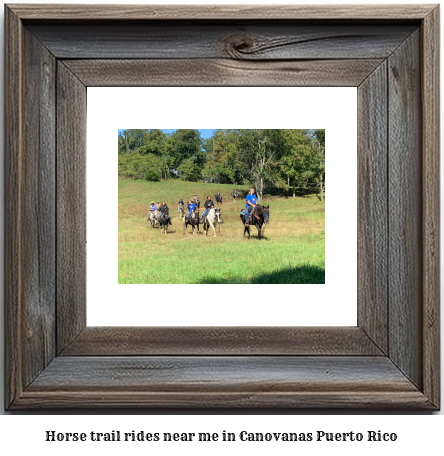 horse trail rides near me in Canvanas, Puerto Rico